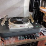 sinatra-IMG_0004
