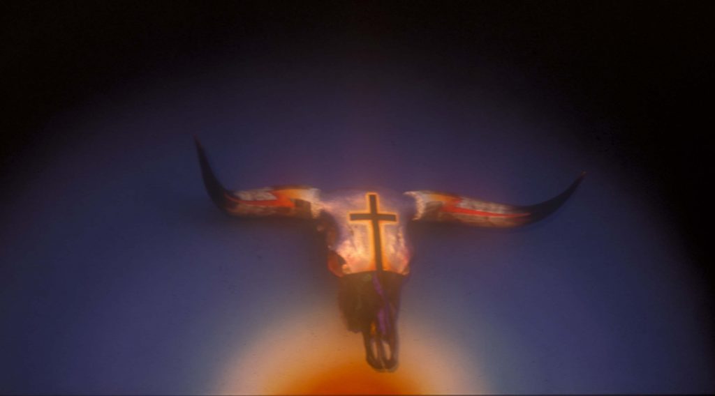 "Murderer" painted and adorned bull skull on canvas by Texas artist Boyd Elder.