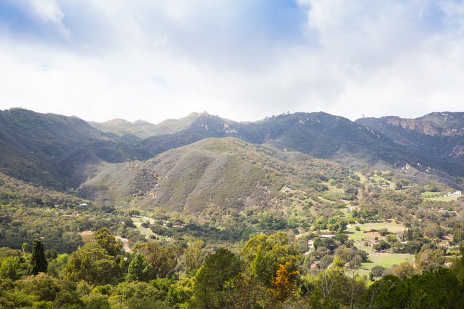 The view from Alexander Payne’s house in Topanga Canyon. Photograph by Darcy Hemley.